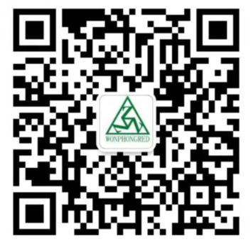 手機(jī)站二維碼